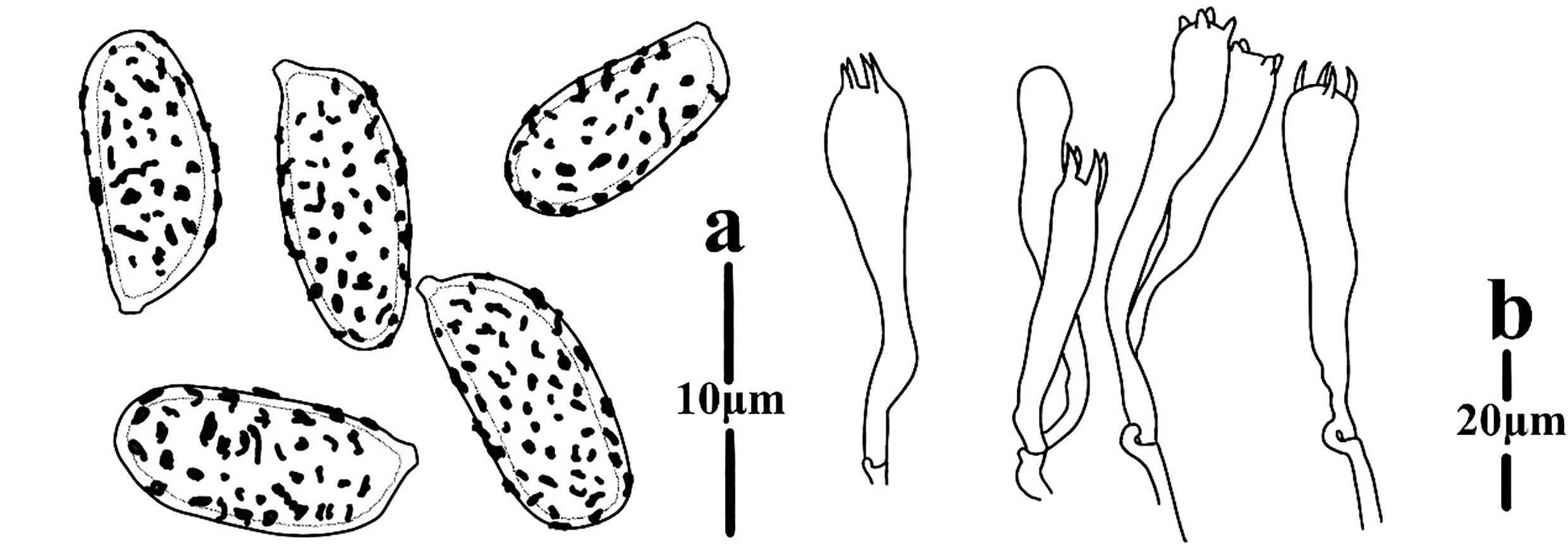 Figure 115